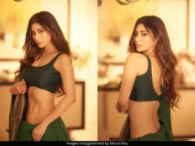 Mouni Roy