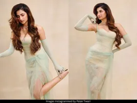 Palak Tiwari