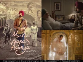 Main Vaapas Aaunga poster 