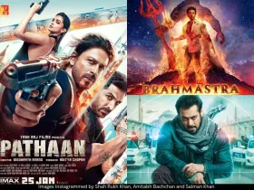 Pathaan Tiger 3 posters