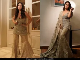 Shehnaaz Gill