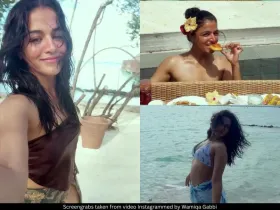 Wamiqa Gabbi