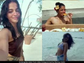 Wamiqa Gabbi