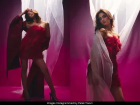 Palak Tiwari 