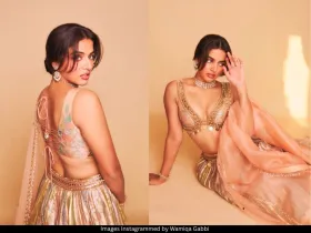 Wamiqa Gabbi
