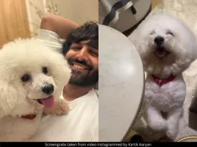Kartik Aaryan 