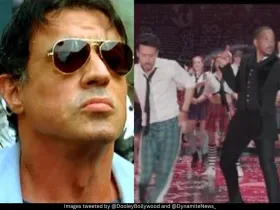 Sylvester Stallone, Will Smith, Ben Kingsley और Clive Standen उन हॉलीवुड सितारों में शामिल हैं, जिन्होंने भारतीय फिल्मों में काम किया।