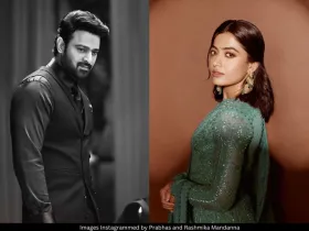 R Madhavan, Dhanush, Prabhas, Alia Bhatt और Rajinikanth उन सितारों में शामिल हैं जिन्होंने South और Hindi सिनेमा दोनों में काम किया है।