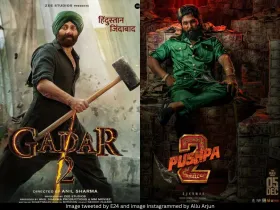 Gadar 3, Pushpa 3, Stree 3 और Drishyam 3 समेत कई बड़ी फिल्म फ्रेंचाइजी तीसरी किस्त के साथ लौटने की तैयारी में हैं।