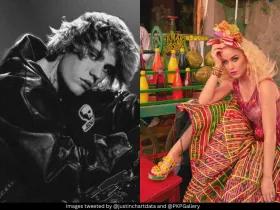 Justin Bieber, Rihanna, Ed Sheeran और Metallica समेत कई इंटरनेशनल म्यूजिशियन्स भारत में परफॉर्म कर चुके हैं।
