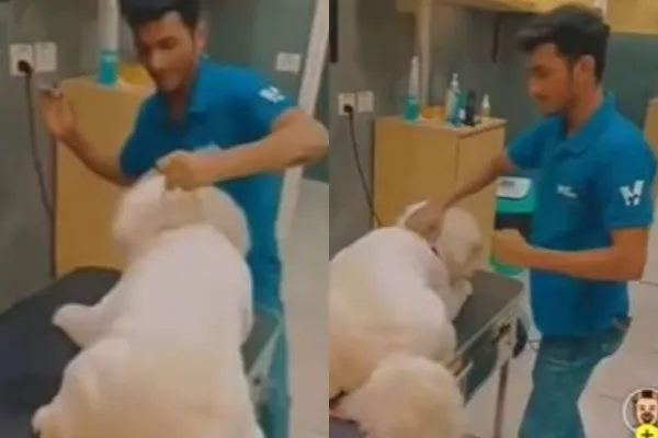 Varun Dhawan Animal cruelty video 