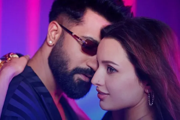 Vicky Kaushal and Triptii Dimri 