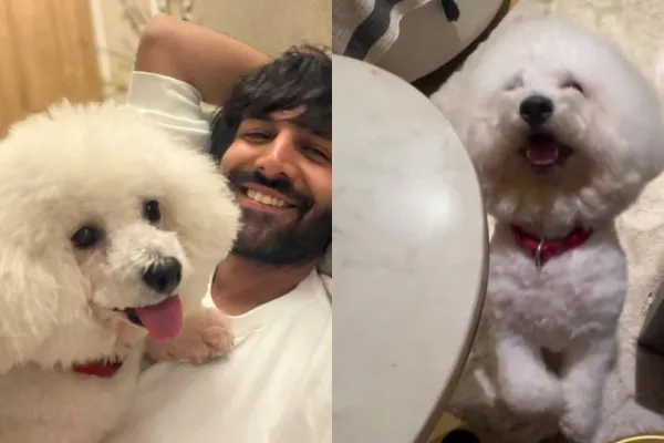 Kartik Aaryan 