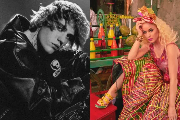 Justin Bieber, Rihanna, Ed Sheeran और Metallica समेत कई इंटरनेशनल म्यूजिशियन्स भारत में परफॉर्म कर चुके हैं।
