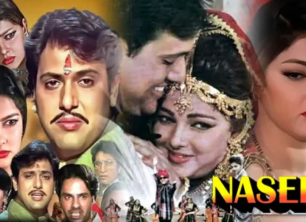 NASEEB