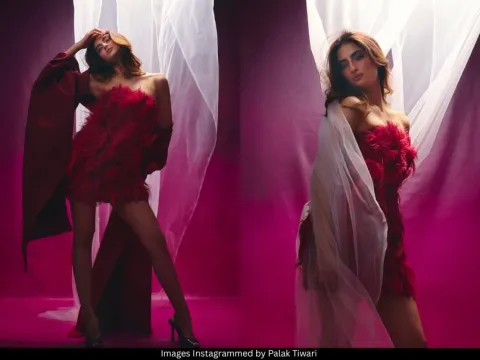 Palak Tiwari 
