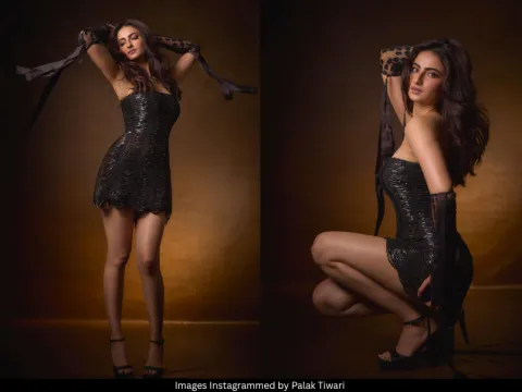 Palak Tiwari 